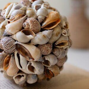 Shell Ball